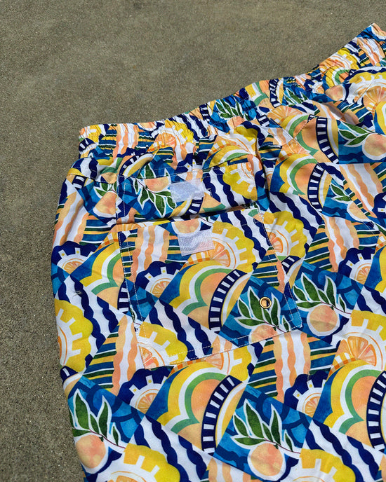 SWELL SWIM SHORTS - Positano