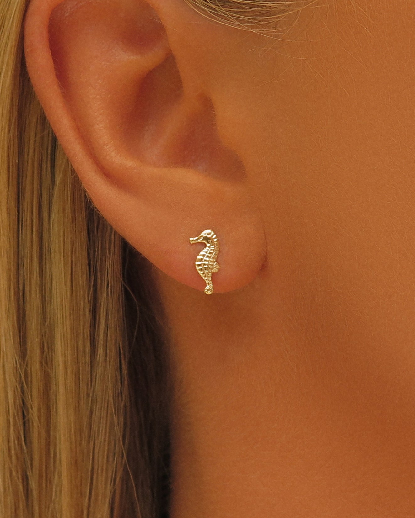 Seahorse Stud Earrings - 14k Yellow Gold Fill